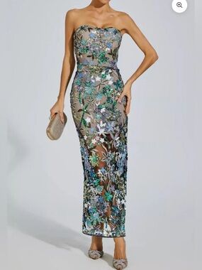 NWT Leanna Blue Flower Embroidered Maxi Dress